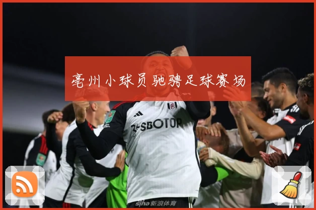 亳州小球员驰骋足球赛场