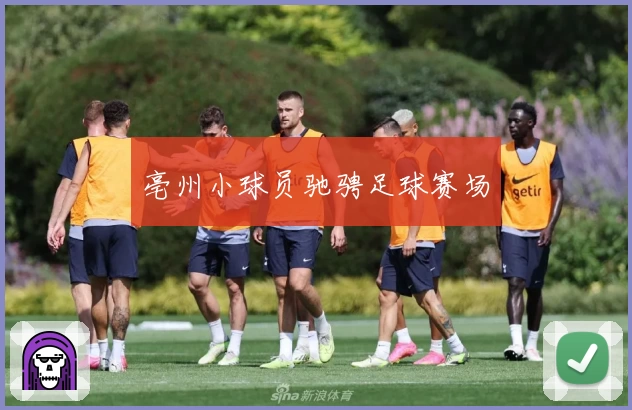亳州小球员驰骋足球赛场