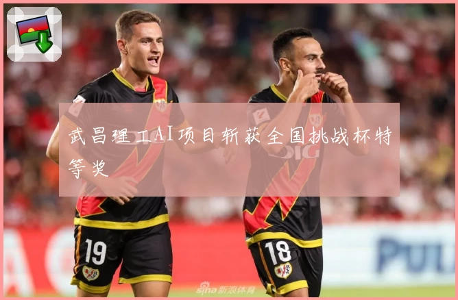 武昌理工AI项目斩获全国挑战杯特等奖