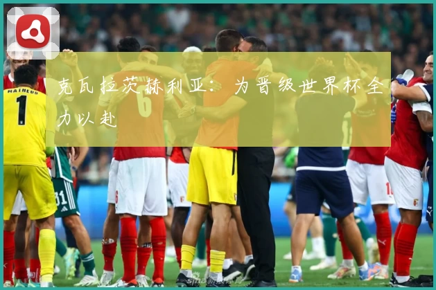 克瓦拉茨赫利亚：为晋级世界杯全力以赴