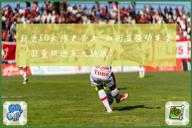 新晋KO大师史蒂夫-加西亚强势来袭，羽量级迎来大挑战！